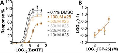 Identification of a novel P2X7 antagonist using structure-based virtual screening